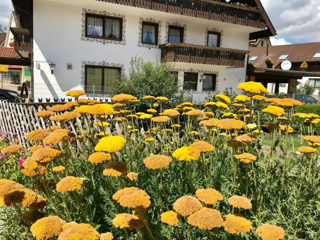 Hotel-Pension Zum Bierhaus Rötenbach المظهر الخارجي الصورة